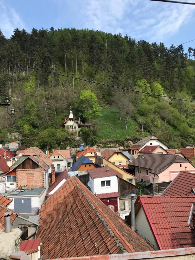 Casa Mountain View Villa Brasov Exterior photo